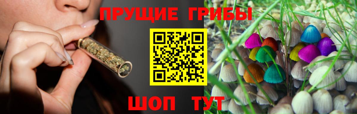 купить наркотики цена  Галлюциногенные грибы прущие грибы  Вход с VPN  Корсаков 