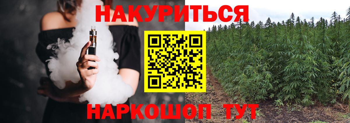 Бошки Шишки SATIVA & INDICA  Вход с VPN  Корсаков  Конопля марихуана  Бошки марихуана White Widow 